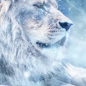 Meet your Posher, Markevis